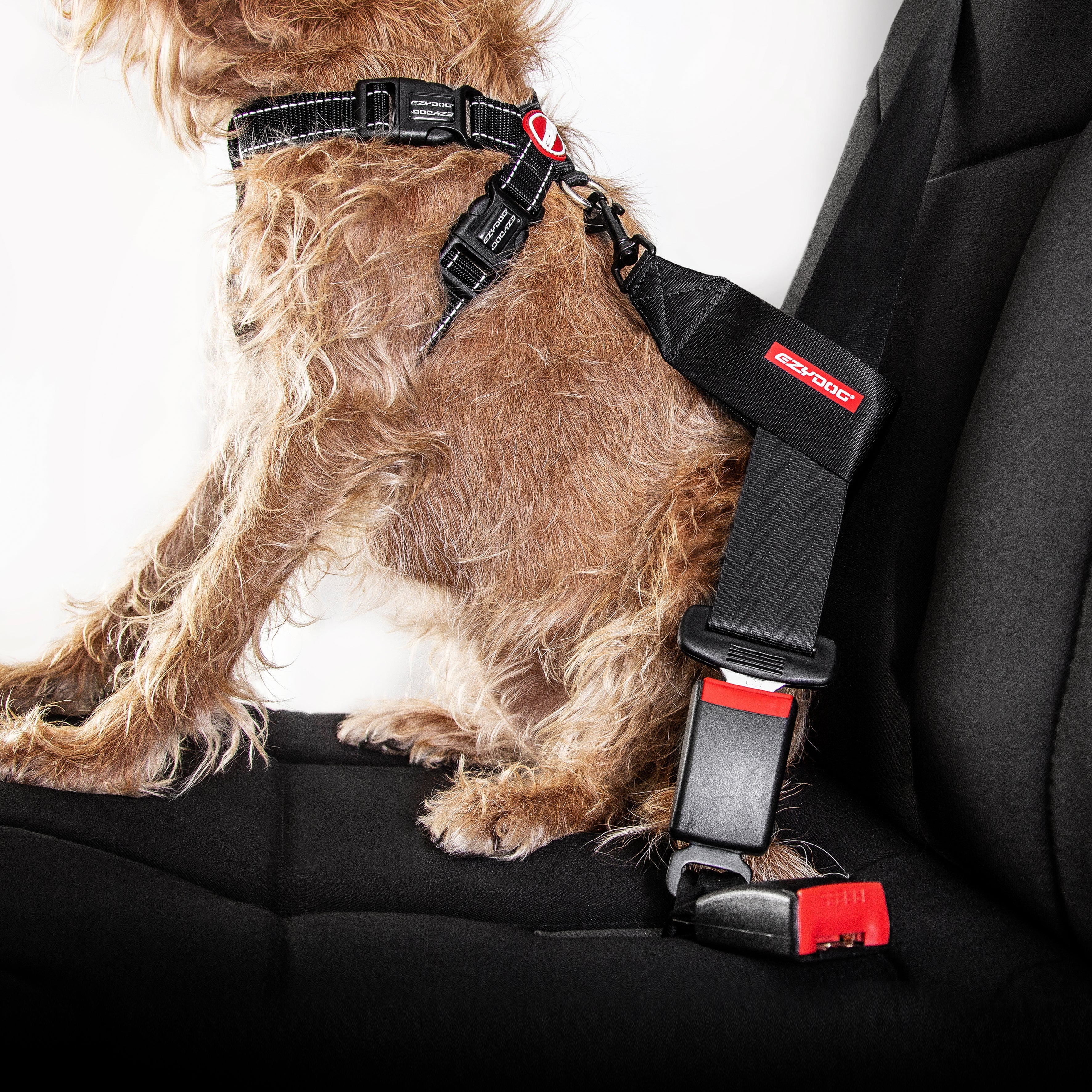 Car Restraint - Image 7